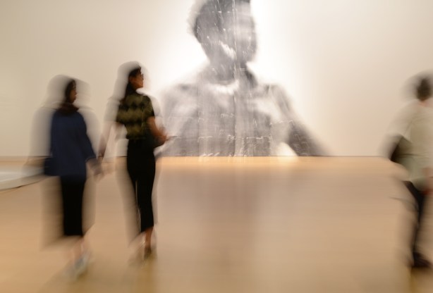 people, out of focus, walking past a large out of focus picture of a woman, a photo by Sandra Brewster as part of her blur series