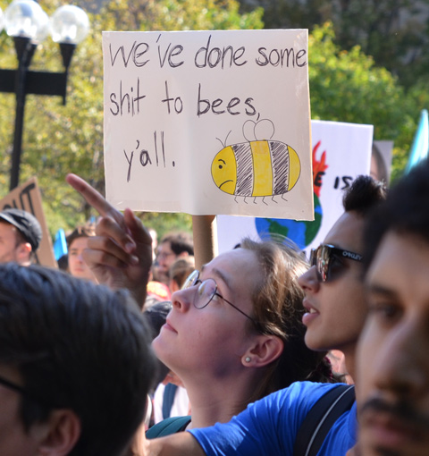 We've done some shit to bees y'all