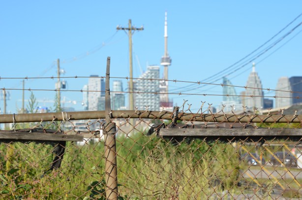 view of Toronto skyline and CN tower from Don Roadway 