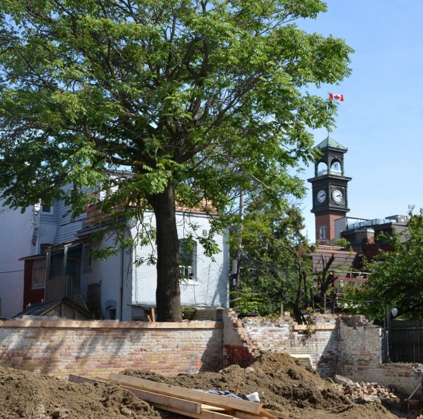 the fire station tower at College and Bellevue is visible beyond a vacant lot and a street of houses and backyards 