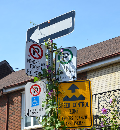 a street sign pole with morning glory flowers and vine growing up it, one way sign, speed control zone sign, no parking signs, 