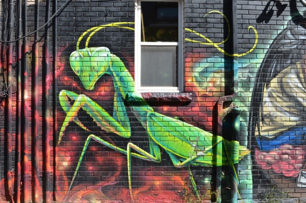 mural of a large praying mantis on a wall 