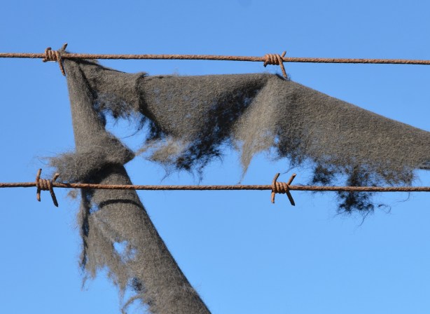 torn and shredded black fabric caught on a barbed wire fence 