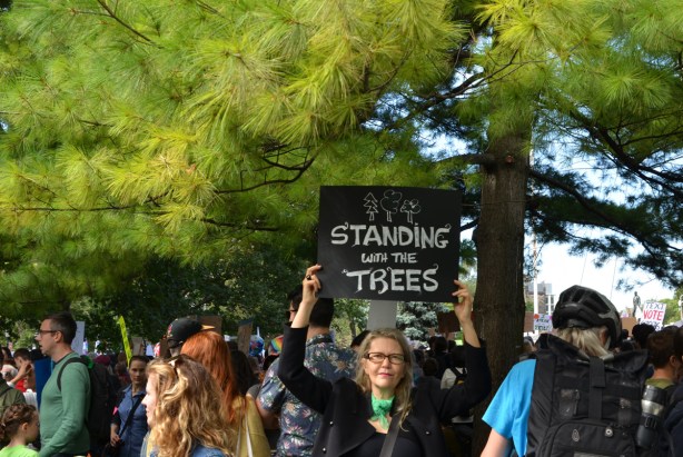 standing under some pine trees is a woman who is holding up a sign that says standing with the trees