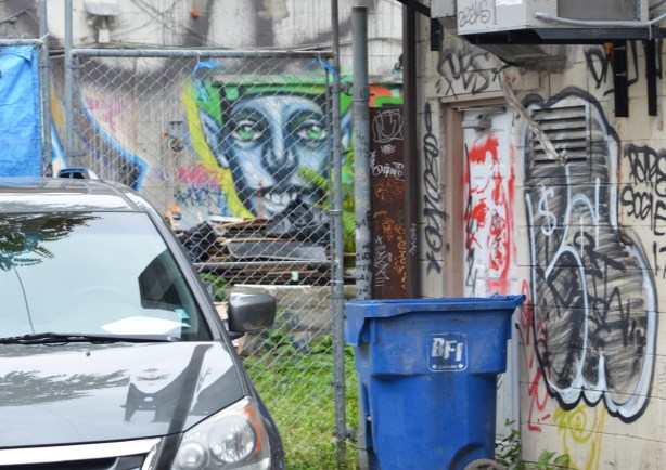 behind a chain link fence, viewed from a laneway, a face street art painting by Phillip Saunders