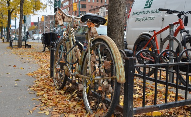 bike decorated with many used tea bags parked beside a tree on Spadina