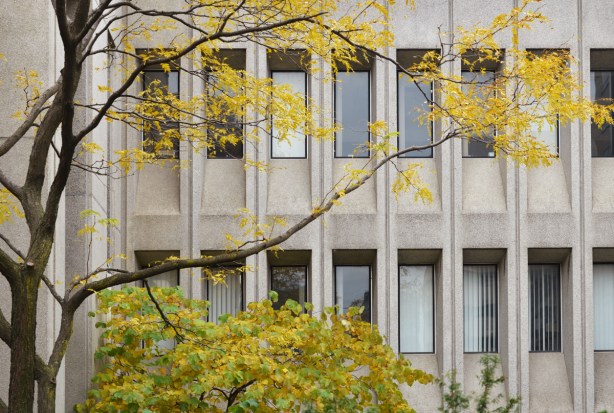 tree with a few remaining yellow leaves in front of a concrete building with long vertical recessed windows