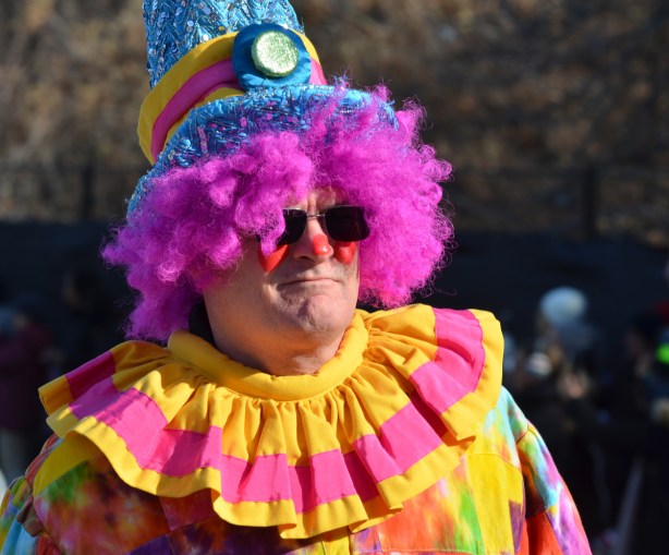 clown in Santa Claus parade with red nose and curly pink hair, yellow and pink striped collar 