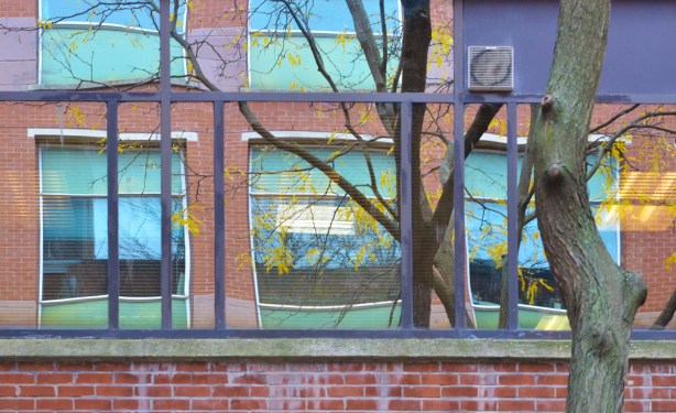 reflections in a set of windows