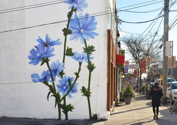 large blue flowers, mural, on a white wall, on the side of stores on Mt Pleasant Rd