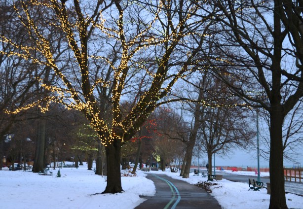 late afternoon as it starts to get dark, along the bike path at Kew Beach, some Christmas lights on a few of the trees 