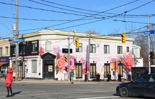 looking diagonally across the intersection at new Piano Piano restaurant on the corner of Mt. Pleasant and Manor Rd painted pink with large flowers, windows still papered over, rose, peony, 