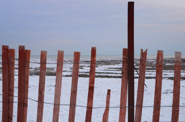 snow fence beside Lake Ontario at Woodbine Beach