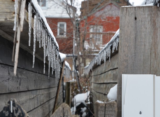 icicles along the edges of garage roofs in the backyards of two adjacent houses, view from the alley looking over the gate