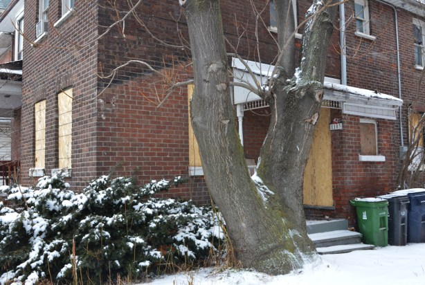 a large tree grows in front of a brick house that has been boarded up