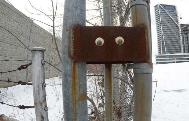 two large black and white googly eyes have been glued onto a rusty piece of metal on a fence 
