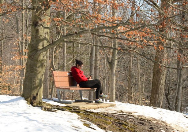 a young woman in a red jacket sits on a bench at Wilket Creek Park and reads a book in the sunshine.