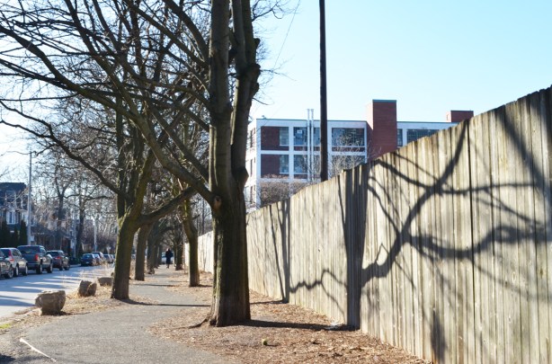 trees line a sidewalk that has had small curves added to it, shadows of these treees on the fence beside the sidewalk 