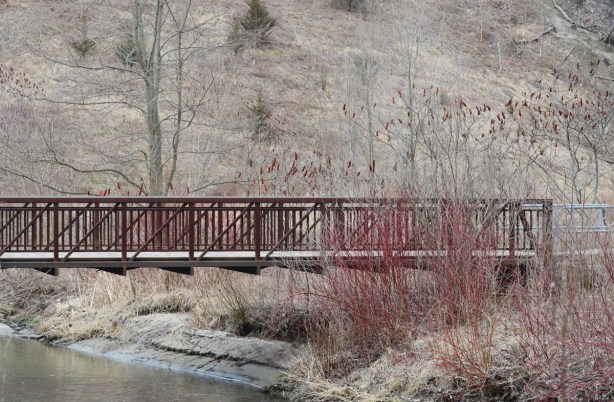 bridge over creek, sumach and dogwood bshes, winter to early spring, no leaves