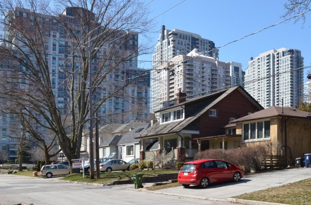 a row of single family houses on a street, large tree, cars in driveways, behind are 3 or 4 large twll condo buildings