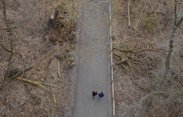 2 people walking on path through trees, taken from a bridge high above them