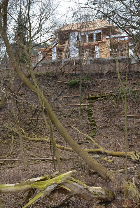 the back of a house under construction, at the top of a hill on a ravine, trees and dead leaves on the ground, early spring,
