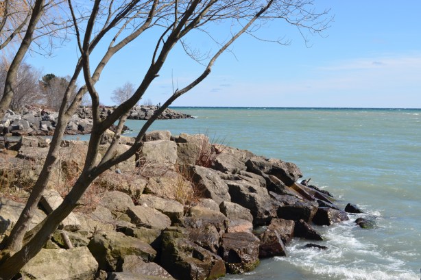 shoreline of Lake Ontario, rocks and trees, early spring, no leaves, 