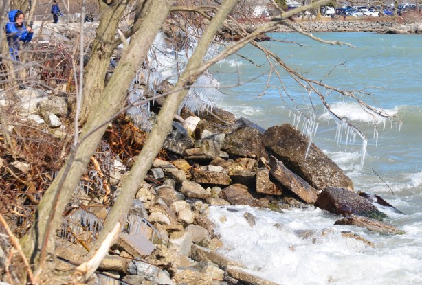 a woman with black hair and weraing a blue winter coat is taking picture of icicles with her phone, waves crashing against the rocks along the shore below the tree with the icicles 