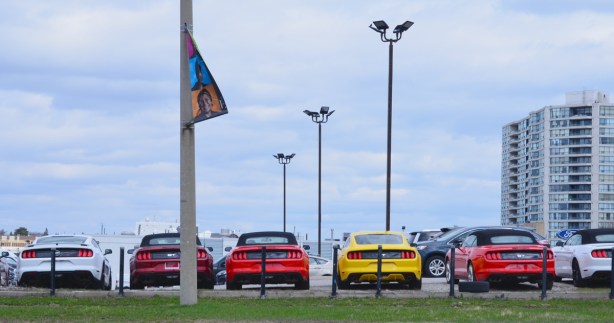 a row of cars for sale, seen from the back