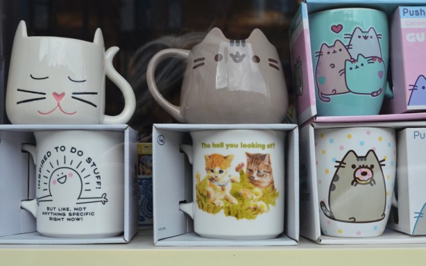 mugs with cat theme pictures on them, on shelves, in window of a store