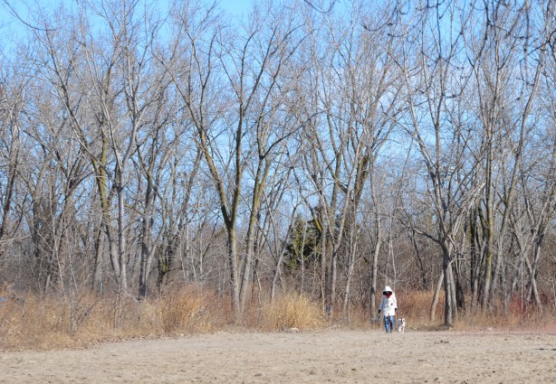 a woman walking her dog beside a forest, on a beach 