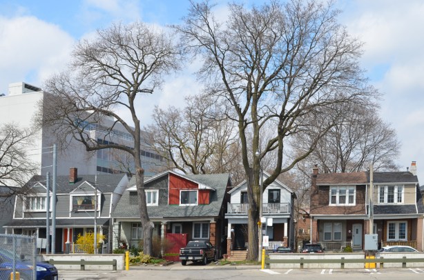 line of houses on a street by Broadview subway station, very tall trees with no leaves, semis, one is painted red