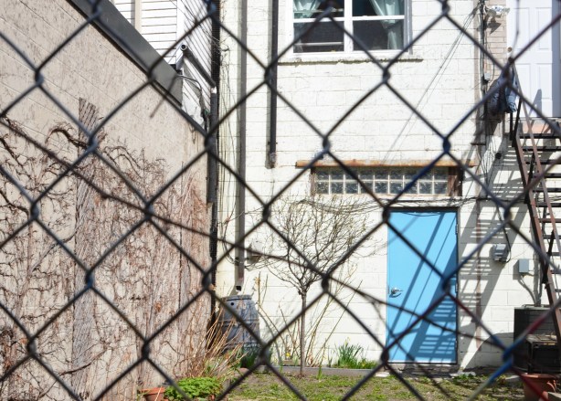 chainlink fence in front of a backyard with a bit of green grass, white building with a bright blue door 