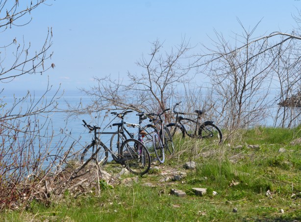 4 bikes parked on the shore, among leafless shrubs, beside Lake Ontario