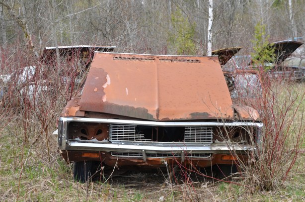 junked, old cars, McLeans Auto Wreckers, rusty orange car with front hood open but backwards, three other cars with front hoods open