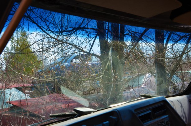junked, old cars, McLeans Auto Wreckers, looking through the windshield of a car, with other cars in view