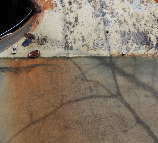 junked, old cars, McLeans Auto Wreckers, shadow of a shrub growing beside a rusted door panel of a car