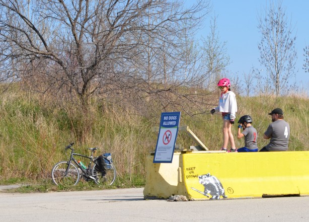 a girl in a red bike helmet walks on top of a yellow concrete barrier 