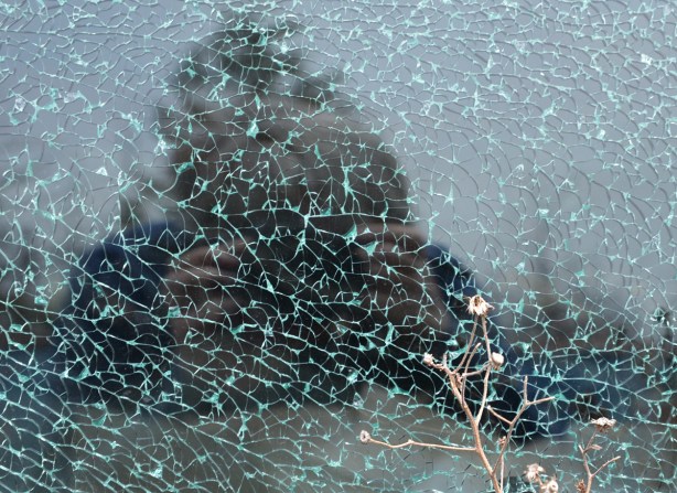 junked, old cars, McLeans Auto Wreckers,small plant growing in front of a shattered window