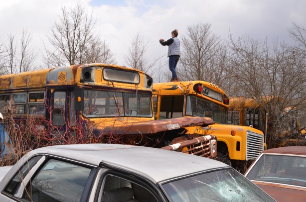junked, old cars, McLeans Auto Wreckers, standing on top of a school bus, one of three buses rusting in field with other old vehicles