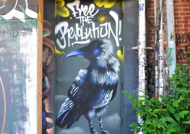 A mural in Graffiti Alley, a black bird with a dark blue beak, with the words Free the Revolution