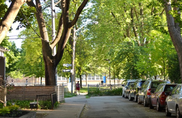 looking down a dead end street that ends at a school yard, summer time, large trees and cars line the street