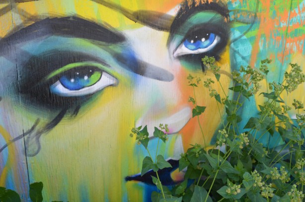 revealed, when branches moved away, partially hidden by bushes and plants, a face street art mural by anya mielniczek