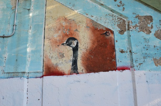 top part of a Canada Goose painting on an underpass, bottom part has been painted over with pale grey paint