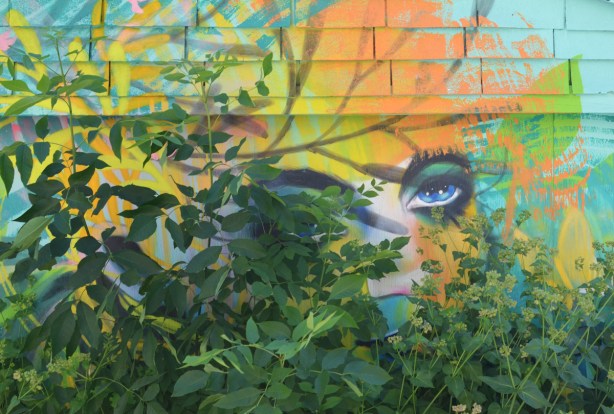 partially hidden by bushes and plants, a face street art mural by anya mielniczek