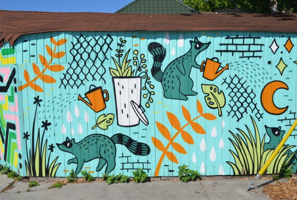 a raccoon mural, raccoon with watering can, gardening and looking after plants 