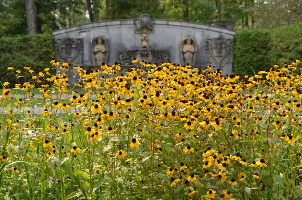 a large number of black eyed susan flowers in a garden, with sculptures and statues on a wall in the background 
