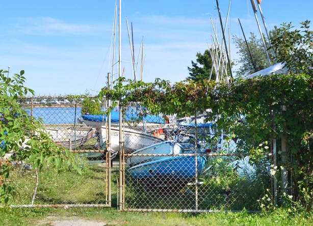 wide chain link gate leading to a small boat club. Sailboats on the land, water in the background, lots of greenery
