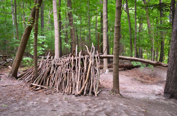 a lean to built in a ravine off many fallen branches