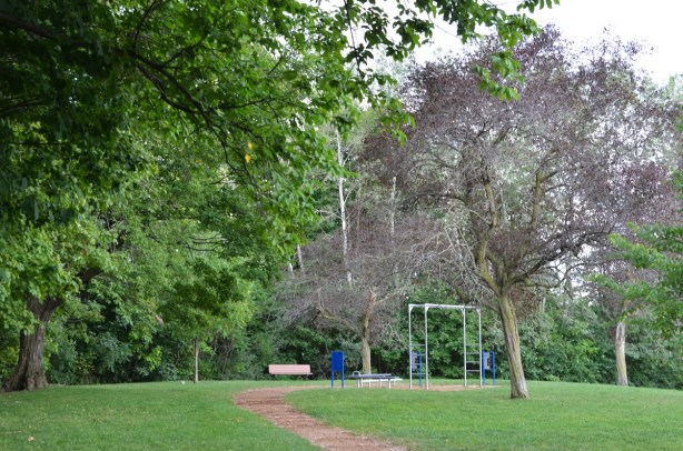 park with exercise equipment and large trees